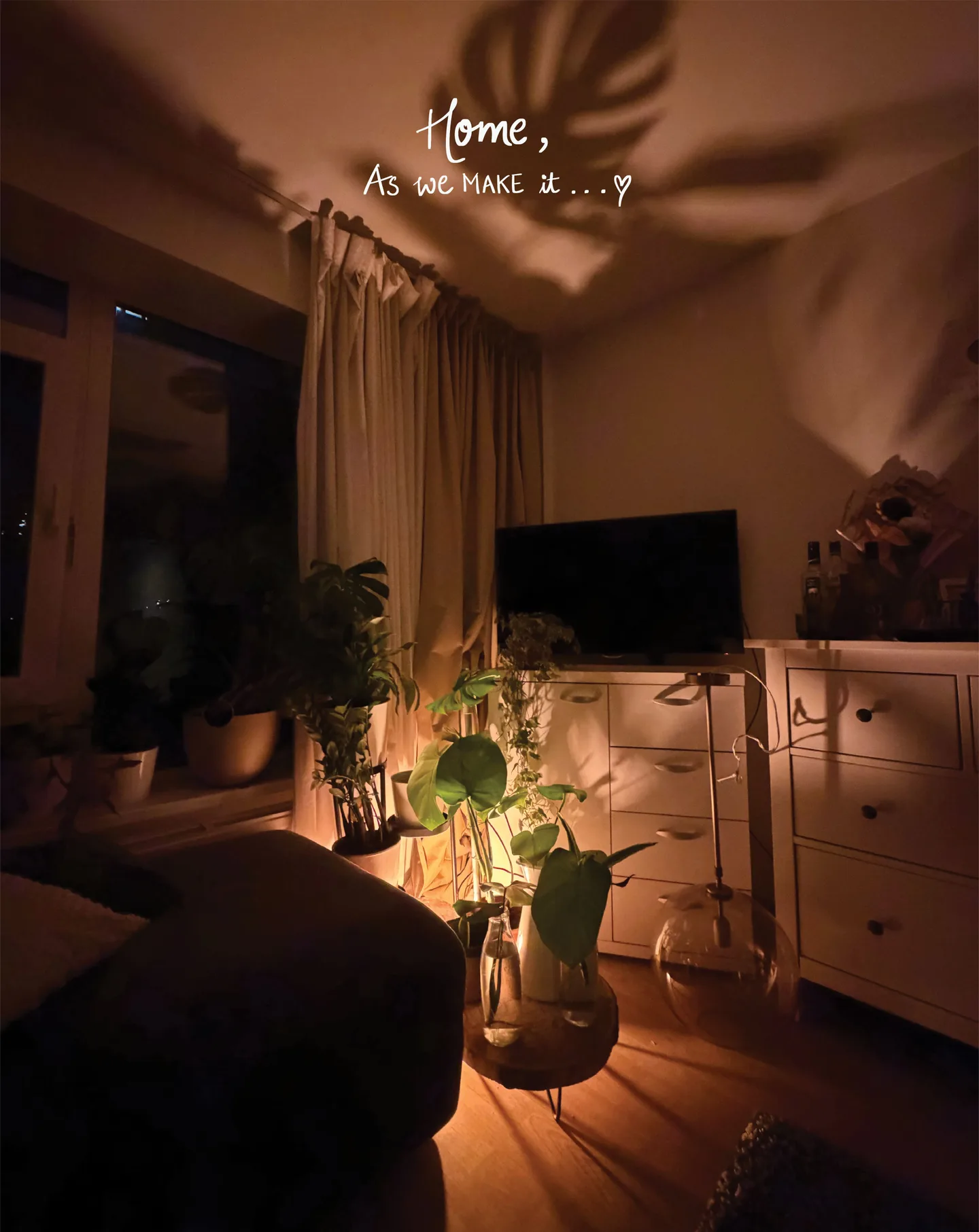 Home, as we make it. Our living room in the Netherlands at night, full of plants and warm light.
